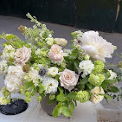 Seller Image